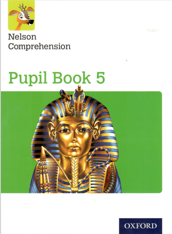 Rich Results on Google's SERP when searching for 'Nelson comprehension g5 '