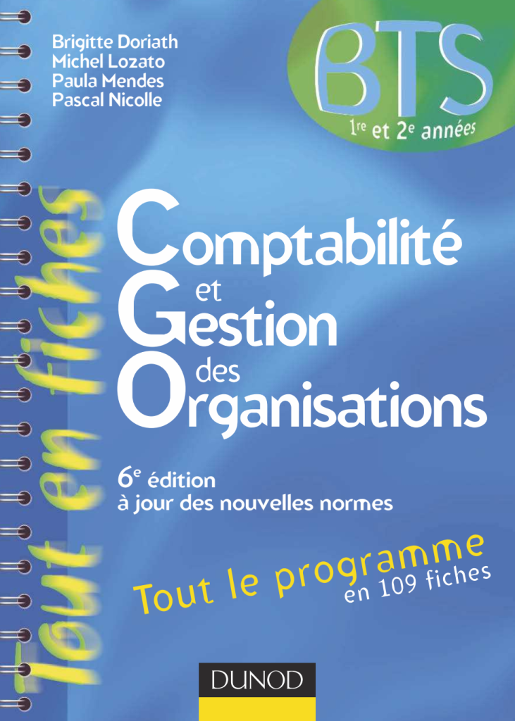 Rich Results on Google's SERP when searching for ''Comptabilite et Gestion des Organisations''