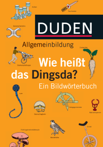 Rich Results on Google's SERP when searching for ''Duden Allgemeinbildun Wie Heibt Das Dingsda Ein Bildworterbuch''